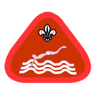 http://www.scout.org.hk/images/cub_scout/train_swimming01.gif